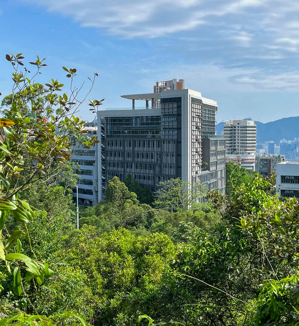 The Cradle Education Centre